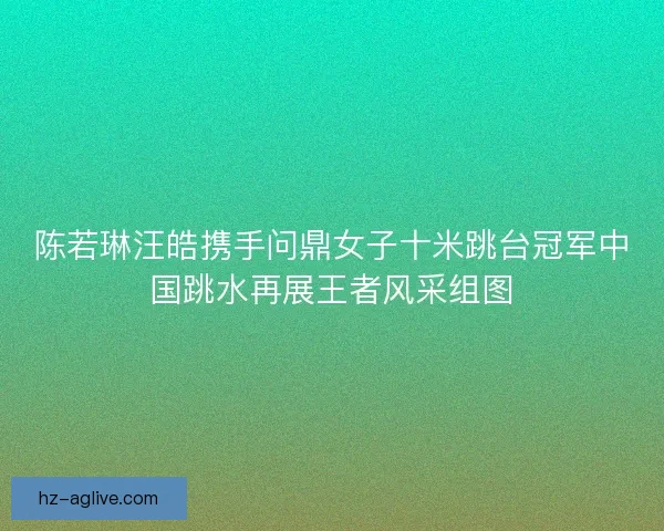 陈若琳汪皓携手问鼎女子十米跳台冠军中国跳水再展王者风采组图