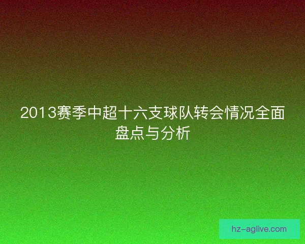 2013赛季中超十六支球队转会情况全面盘点与分析